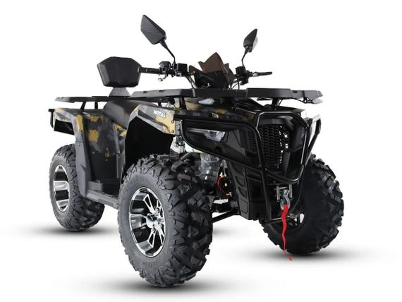 Квадроцикл MOTAX Grizlik 300