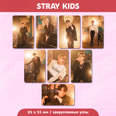 Сет карточек / STRAY KIDS #237