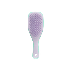 Расческа Tangle Teezer The Ultimate (Wet) Detangler Mini Wisteria Leaf