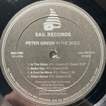 Peter Green ‎– In The Skies (США 1979г.)