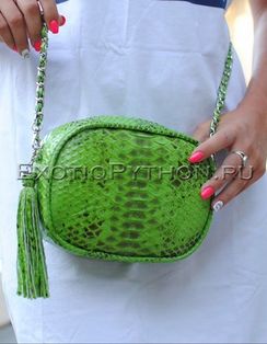 Сумка из кожи питона CL-181
