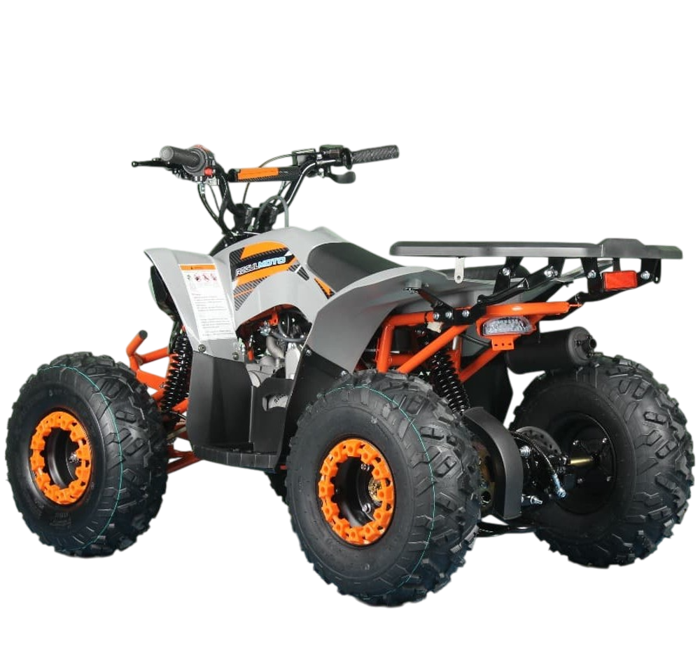 Квадроцикл RegulMoto S12 (Серый, , 120151-1)