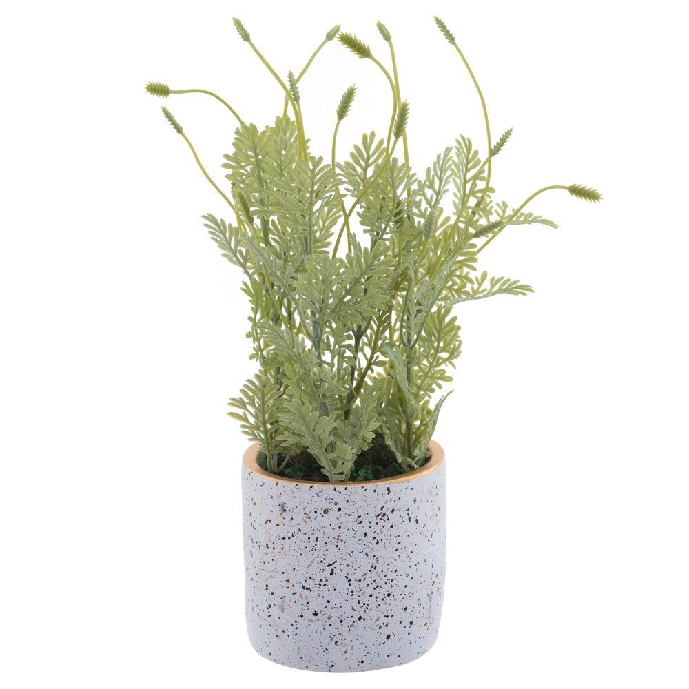 GAEM Цветочная композиция, L19 W19 H34 см, 2в.