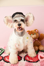 Свитер для животных Цветочные рюшки