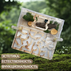 Супер большая ферма с муравьями в подарок «XXXL Древесная»