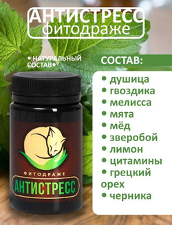 Драже Антистресс 50 г Кедровый мир