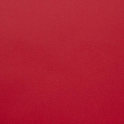 Искусственная кожа Grifon (Грифон) 08