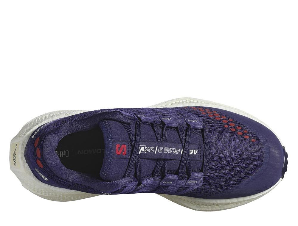 Кроссовки для бега женские Salomon Aero Glide 3 GRVL W Фиолетовые