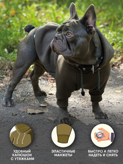 Толстовка для собак пород французского бульдога, мопса, голубой,M