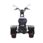 Электроскутер CityCoco Skyboard MyRussia (Маруся) BR60 3000W Trike