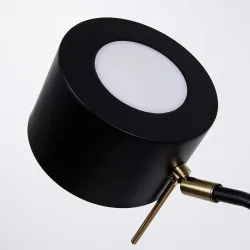 Декоративная настольная лампа Arte Lamp