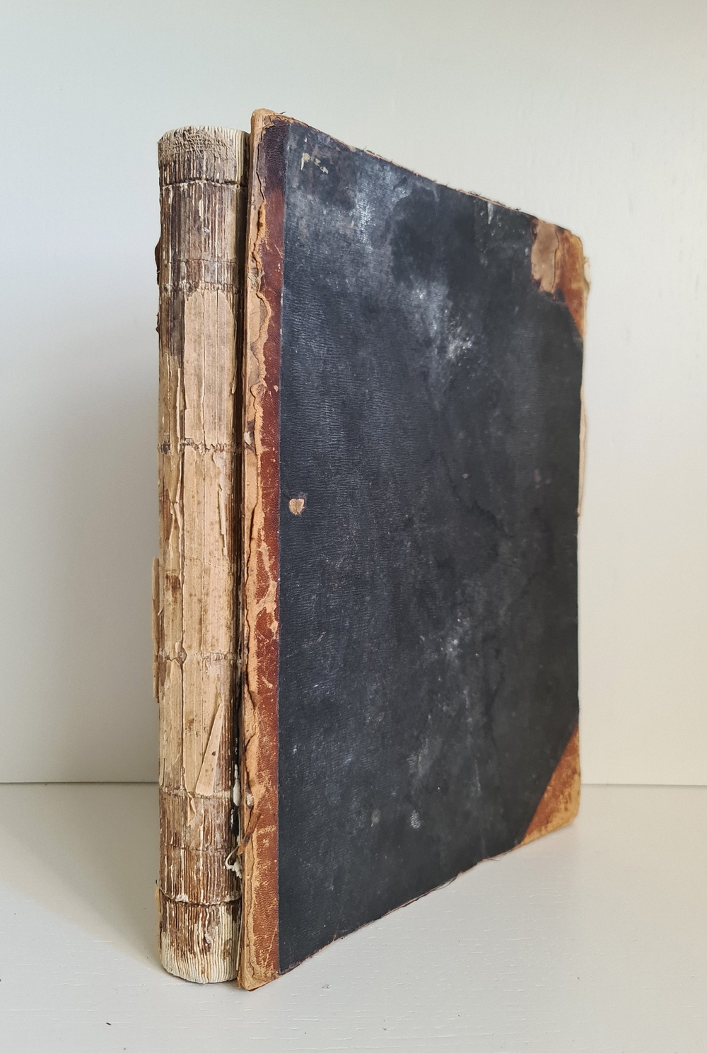 "Императорский С.-Петербургский Ботанический сад за 200 лет его существования (1713– 1913). Часть 1". Под главной редакцией А. Фишера-фон- Вальдгейма. 1913 г.