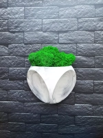 Настенное кашпо  мрамор со мхом