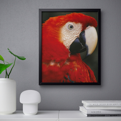 IKEA BILD  (ИКЕА БИЛД)  -  Плакат, Попугай в профиль, 40x50 см