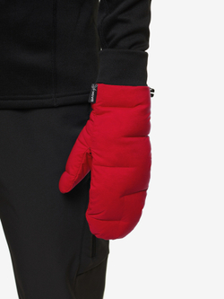 ВАРЕЖКИ ПУХОВЫЕ BASK D-TUBE CHESSMITTS