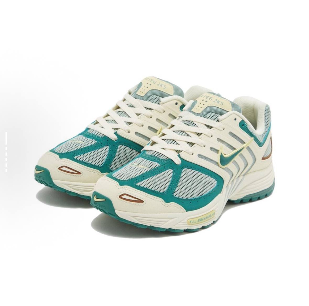 Nike Air Pegasus 2005
