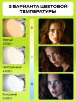 Комплект постоянного света Raylab D-Light 1 светодиодный