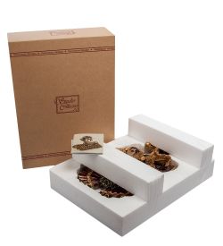 WS-371 Венецианская маска «Шут»