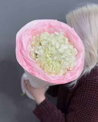 Белая гортензия в оформлении