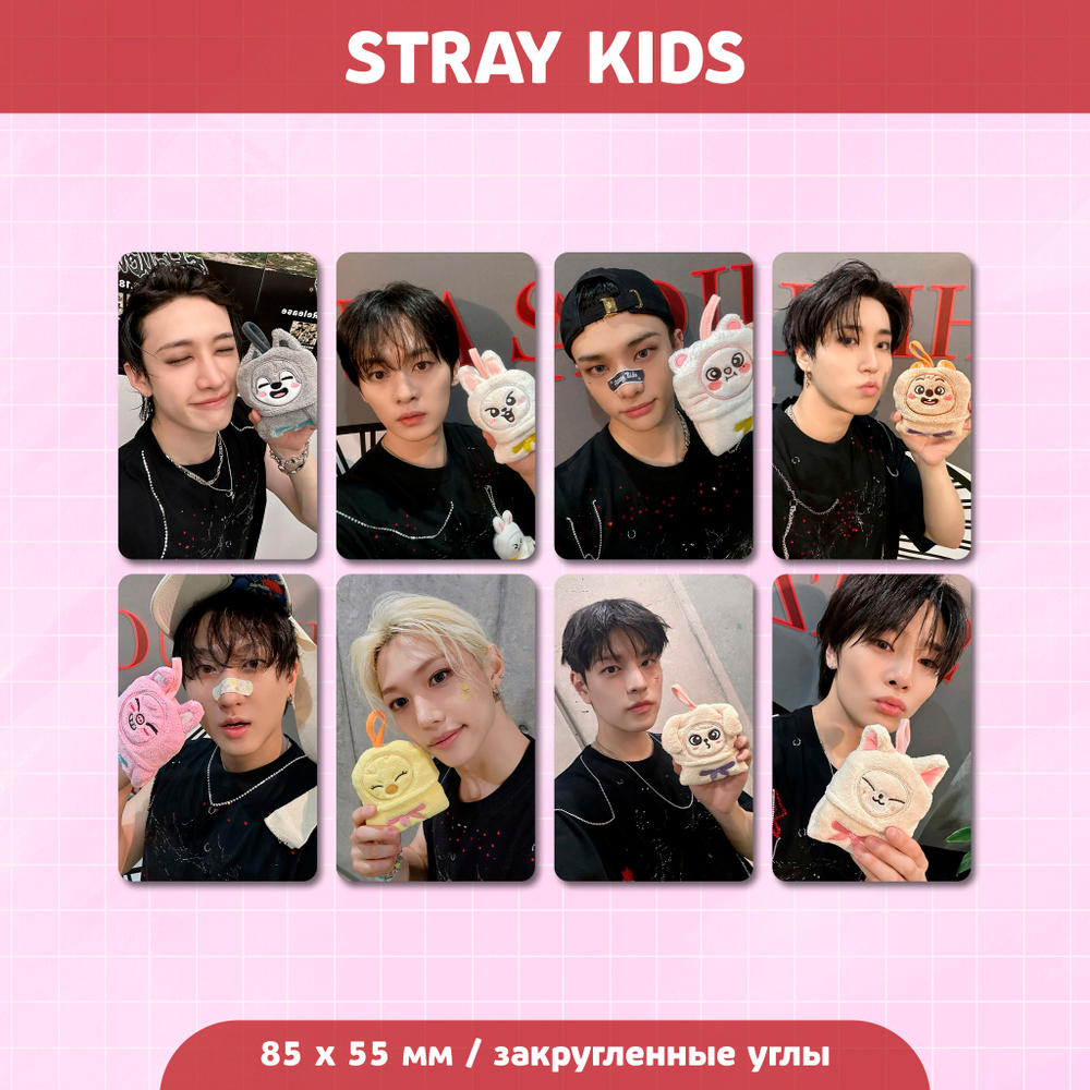 Сет карточек / STRAY KIDS #276