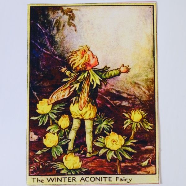 THE WINTER ACONITE FAIRY Панно, холст 20 / 15 см 1