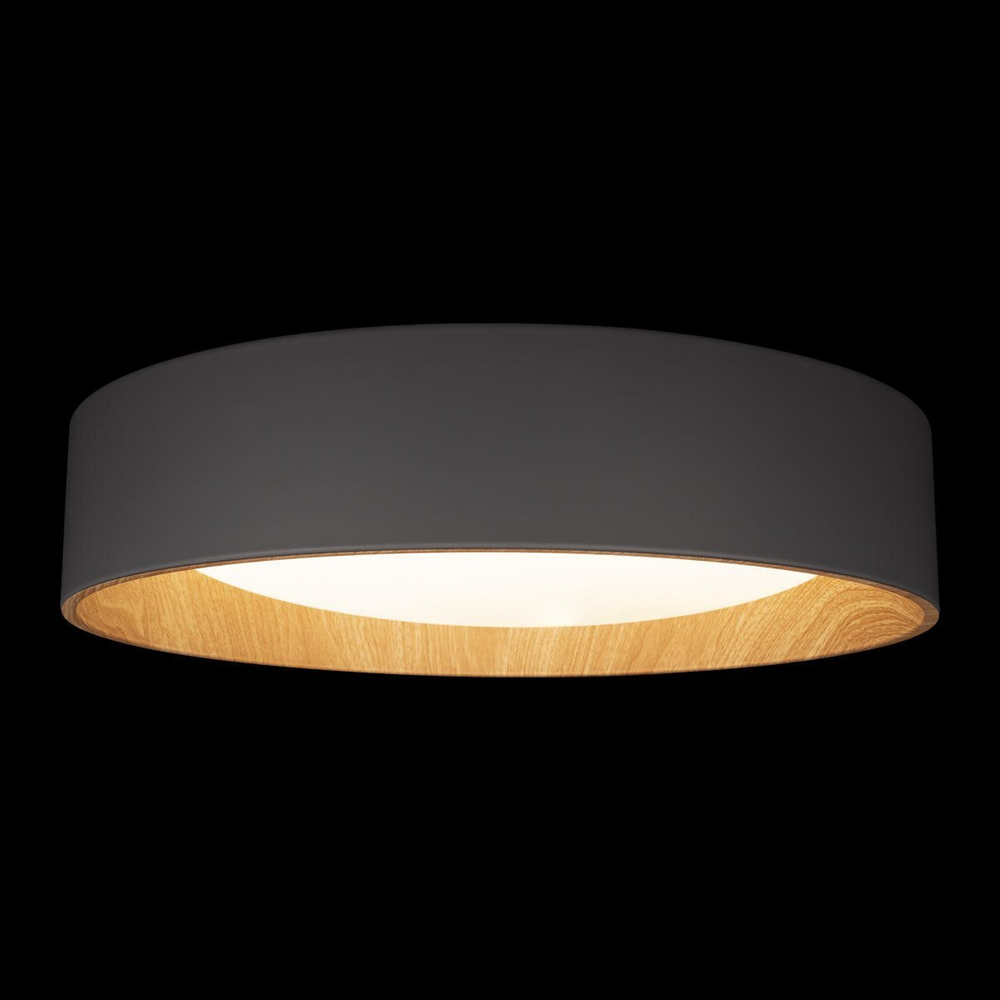 Потолочный светодиодный светильник Loft It Coin 10202 Grey