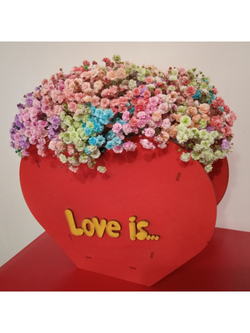 Радужная гипсофила в кашпо Love is...