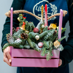 Новогодняя композиция из нобилиса 16