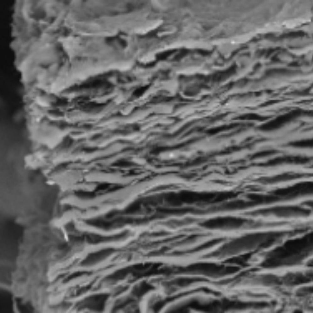 Нативная мембрана (из перикарда) bioPLATE Barrier Fit