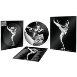 David Bowie / The Man Who Sold The World (Limited Edition)(Picture Disc)(LP)