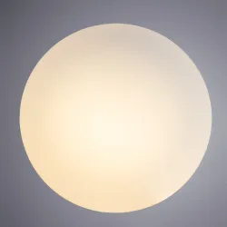 Потолочный светильник Arte Lamp