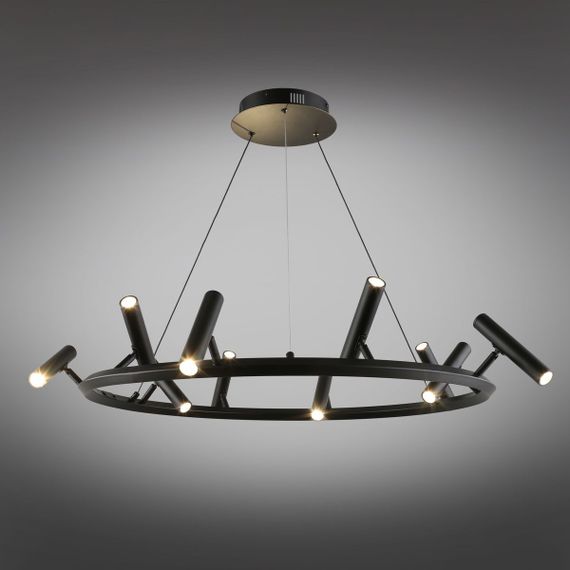 Подвесная светодиодная люстра Aployt Honor APL.067.03.50