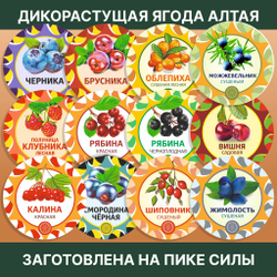 Лисички сушеные.