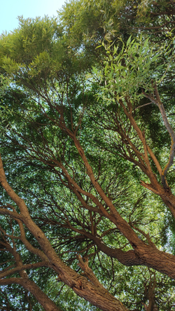 тестовый товар