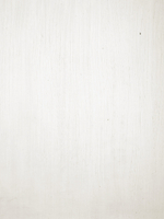 Масляная краска Белила свинцовые 40 мл