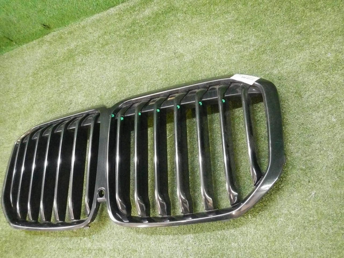 Решетка радиатора BMW X7 G07 (2019-2022)