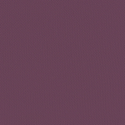 Велюр Blitz / Блитц