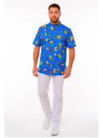 Блуза медицинская мужская Доктор стиль Педиатр М на пуговицах, васильковый принт, 48