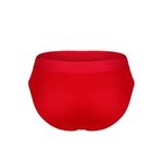 Мужские трусы брифы красные DARKZONE DZNBM6306