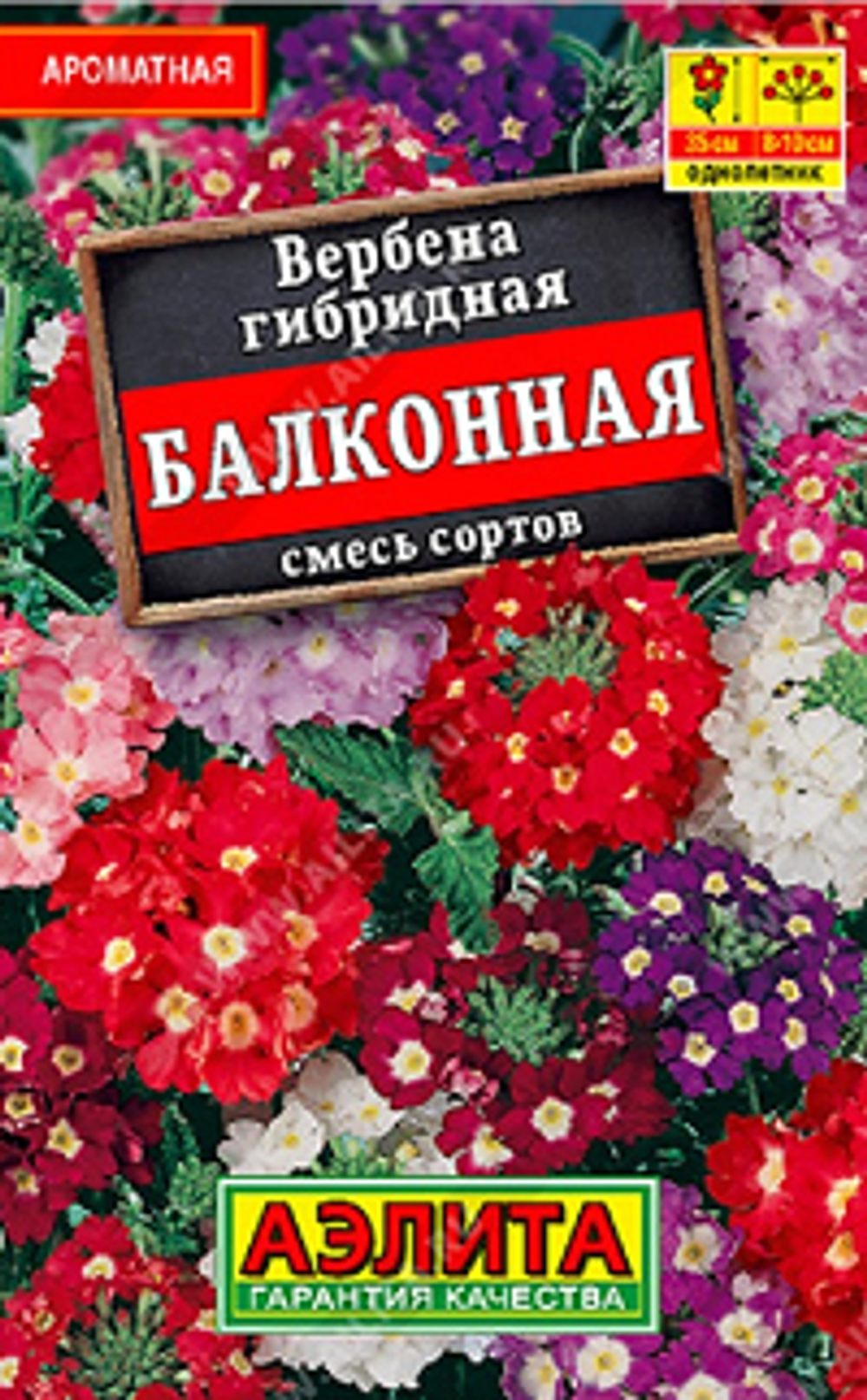 Вербена балконная смесь сортов