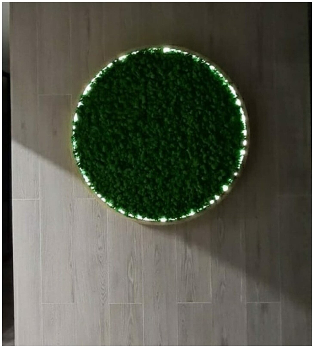 Круглое панно из стабилизированного мха с подсветкой в деревянной раме, диаметр 60см