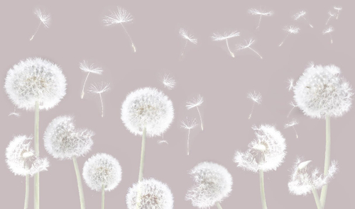 Дизайнерские №490 Фотообои и Фрески