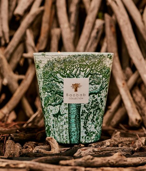 Kamalo, свеча MAX 24 Sacred Trees collection, Baobab Collection