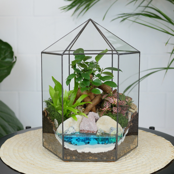 Готовый флорариум бонсай Фикус гинсенг Хижина с озером