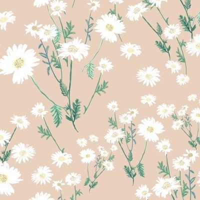 Ромашки на бежевом фоне