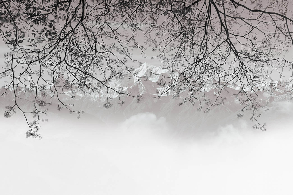 Обои с узором из линий 19503