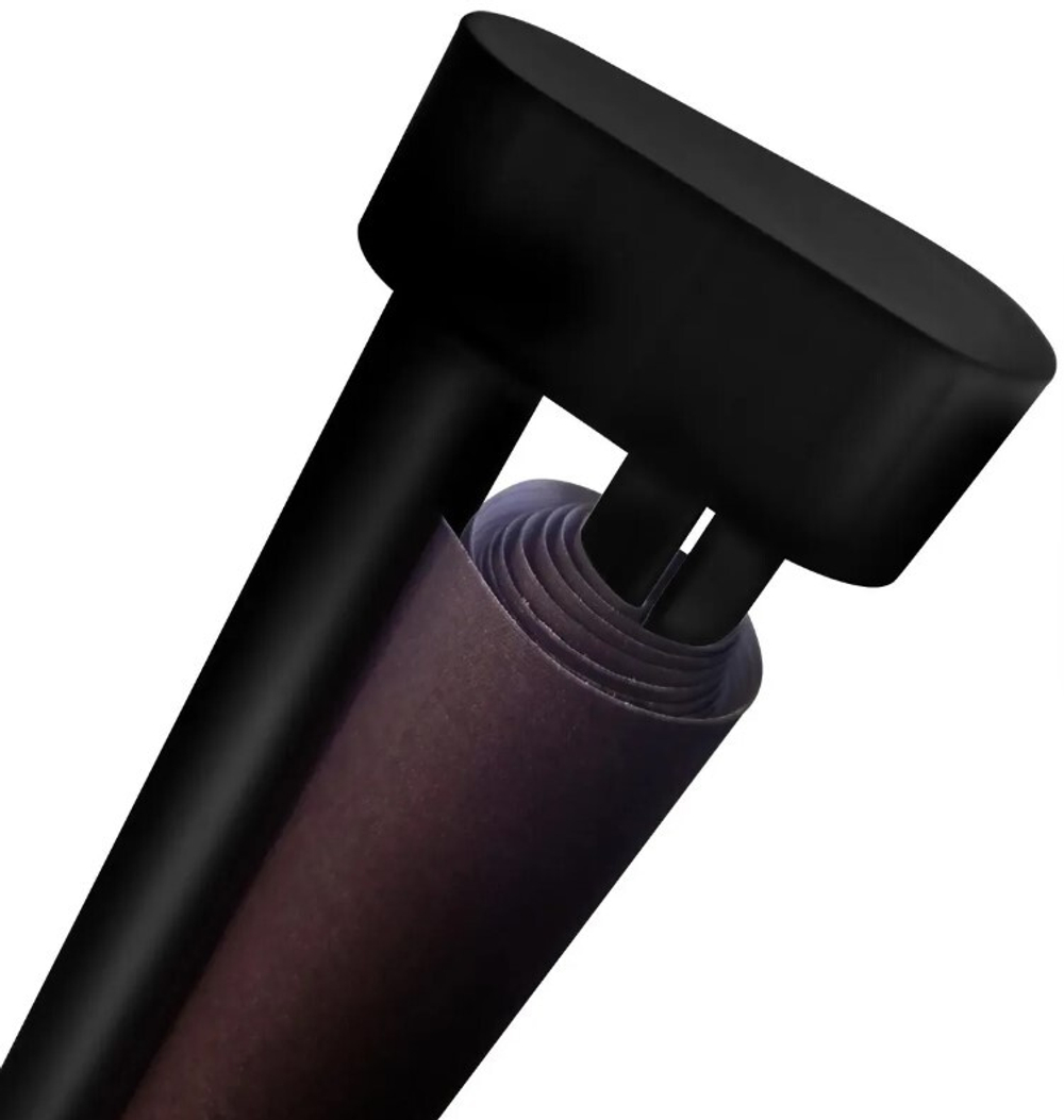 Экран  Cactus CS-PSRM-150X150-BK