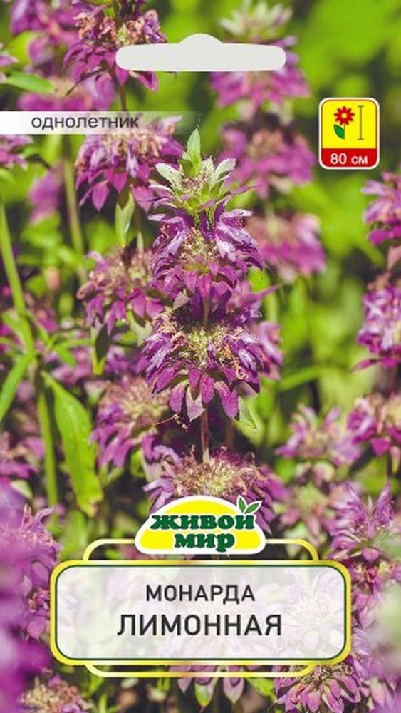 Монарда "ЖМ. Лимонная" 0,3г., Польша.