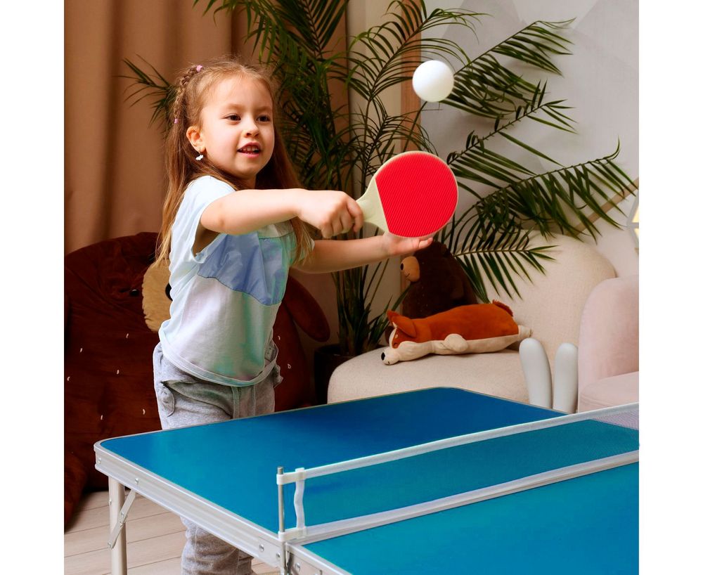 Теннисный стол DFC 48&amp;quot; 122 x 76 см