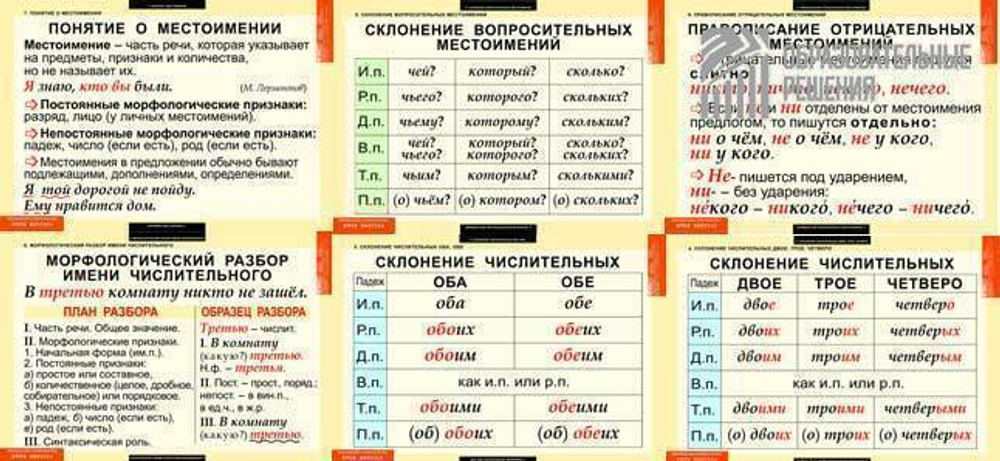 Русский язык. Числительные и местоимения